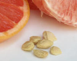 massk-citrus-grandis-grapefruit-seed butt masking